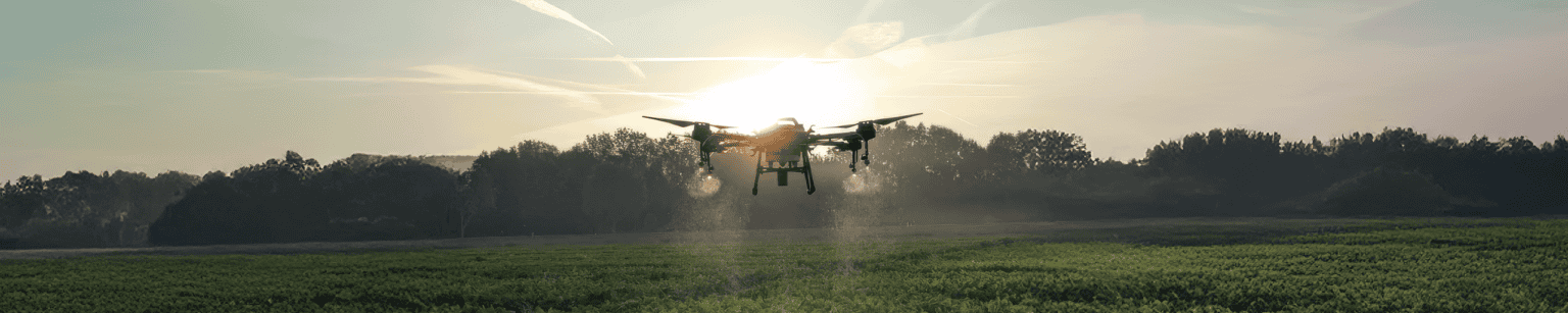 ifZ Zuckerrübenforschung